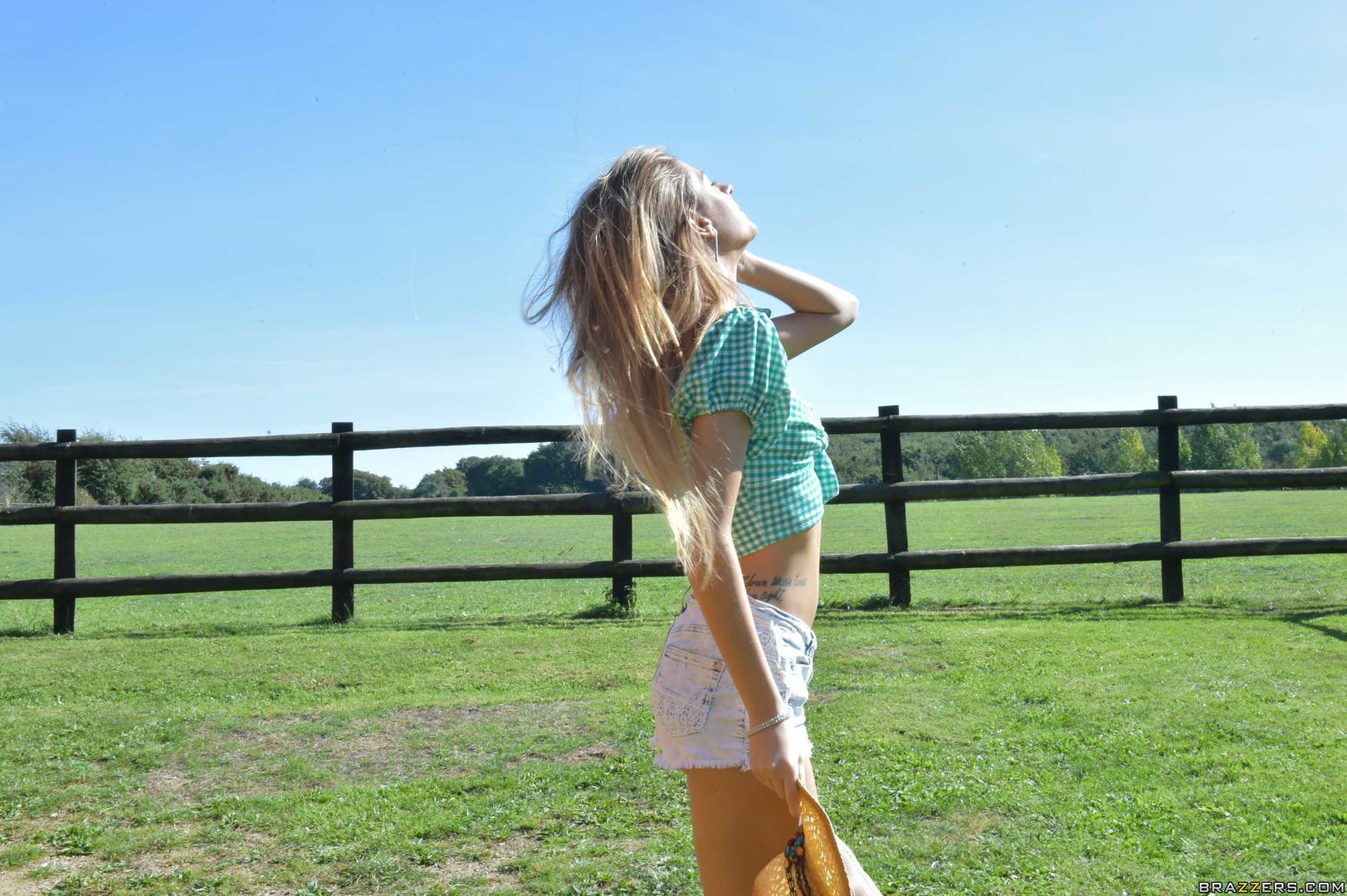 The Farmer's Daughter