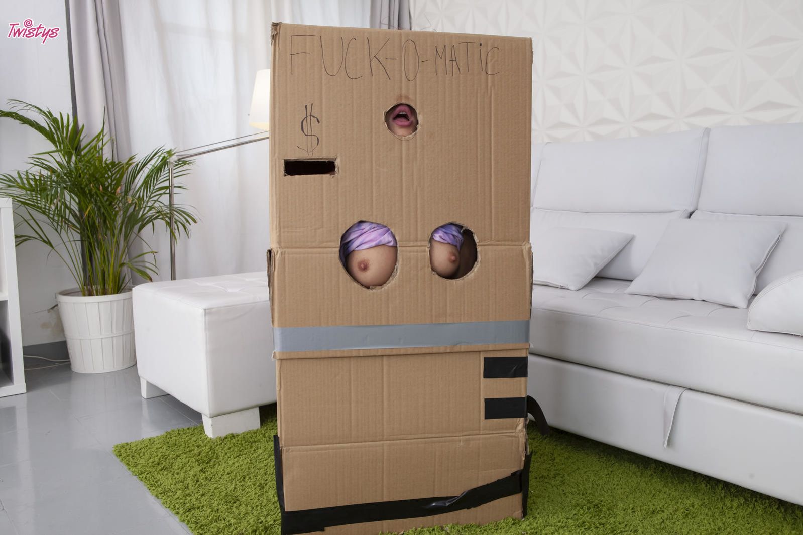 Makeshift Cardboard Gloryhole