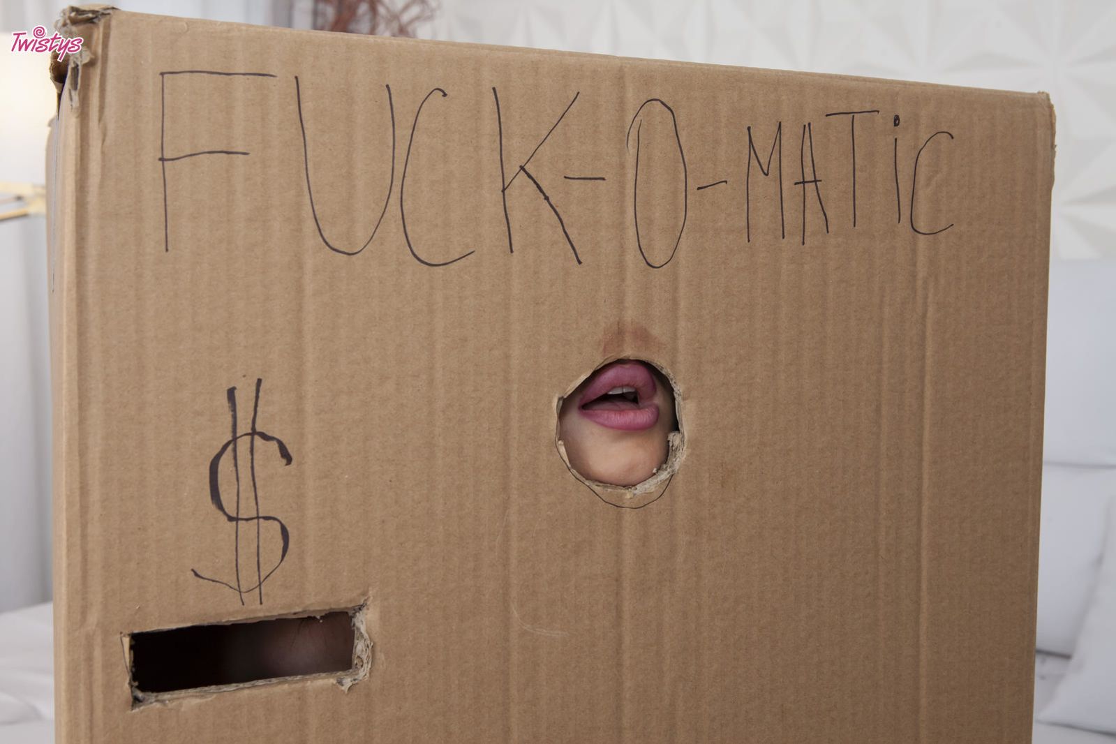 Makeshift Cardboard Gloryhole
