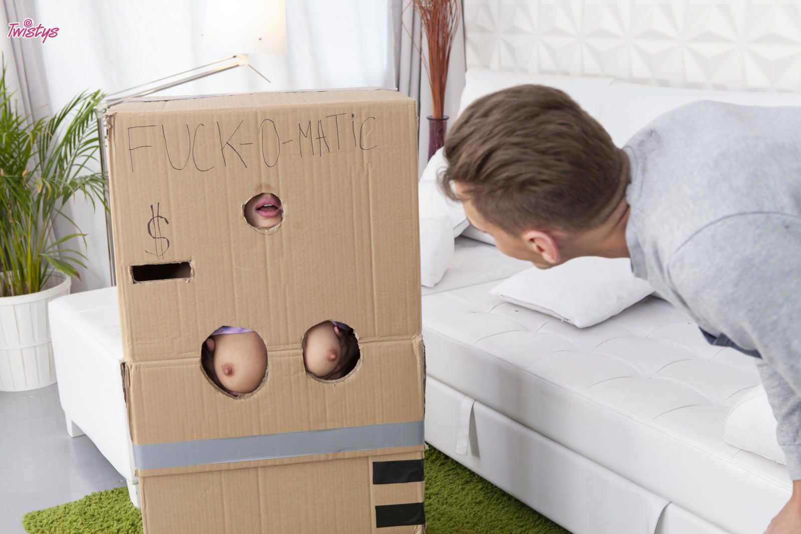 Makeshift Cardboard Gloryhole