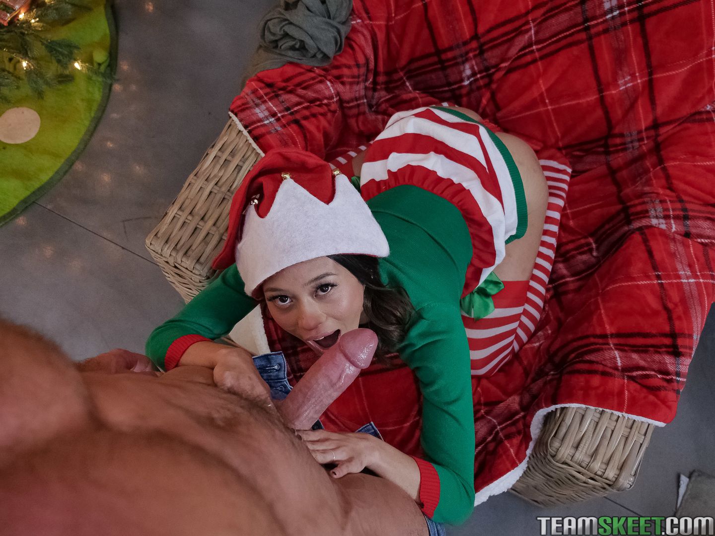 Elf On A Shelf