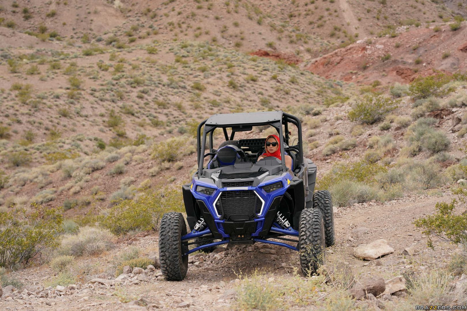 Desert Desires
