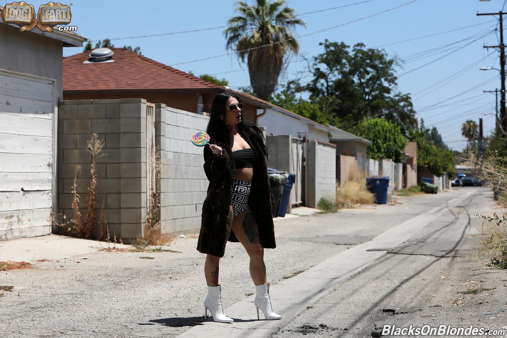 Joanna Angel-BlacksOnBlondes II