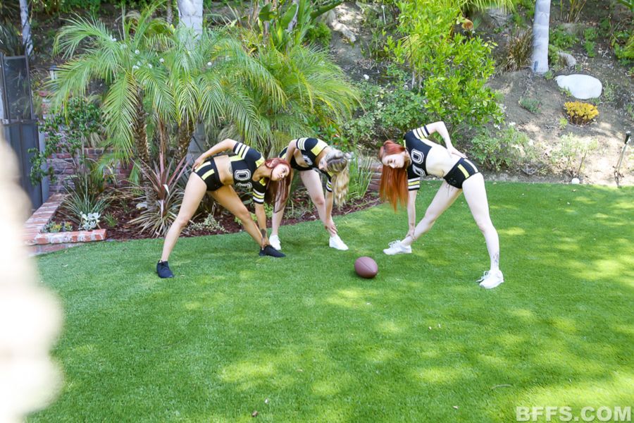 The Tittsburgh Feelers