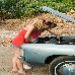 The Joyride