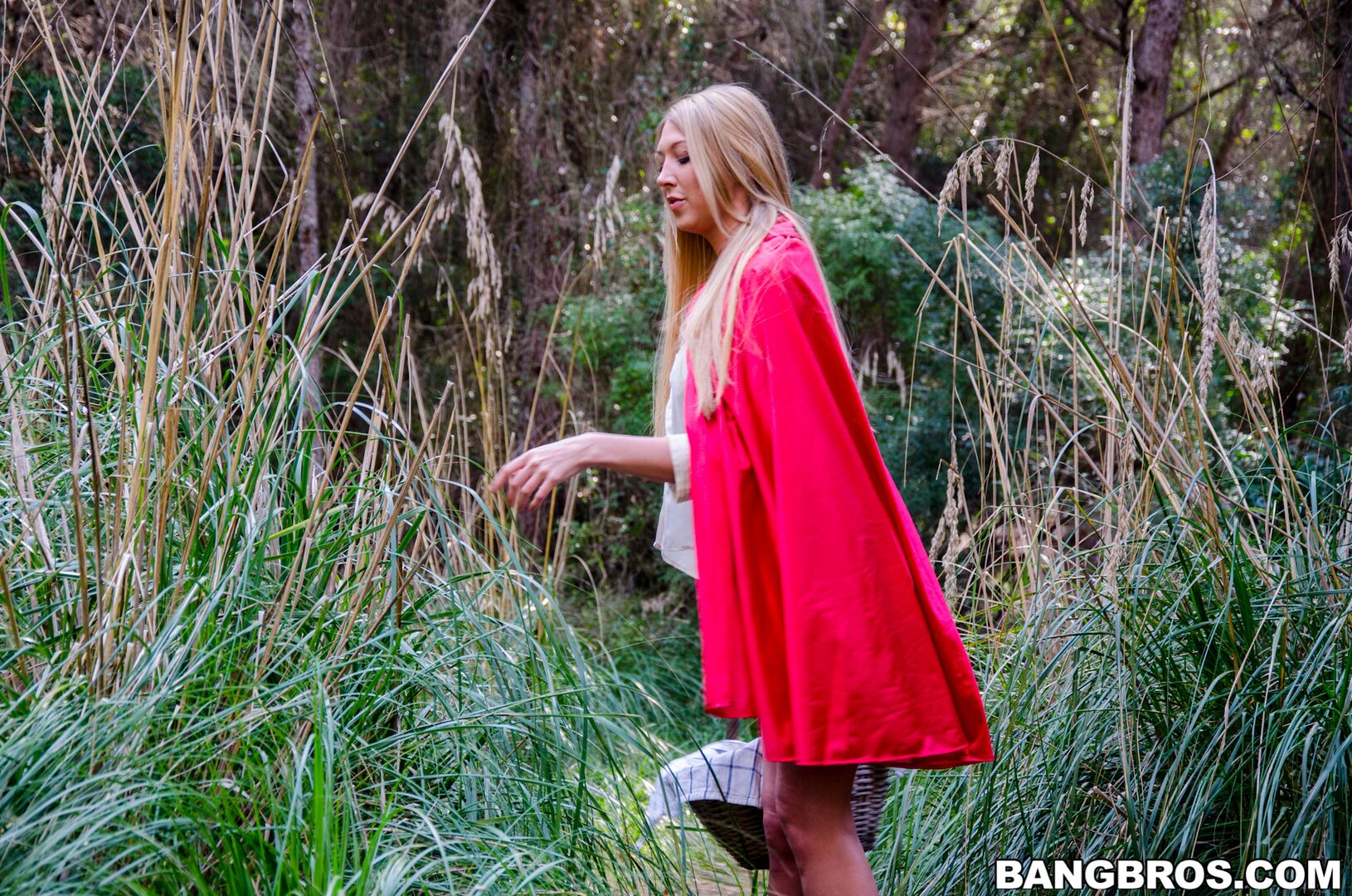 Big tit creampie outsides in the woods