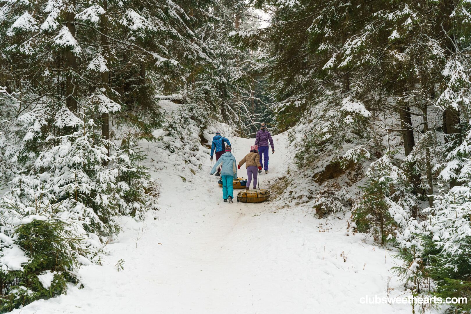 Snow bunnies 4