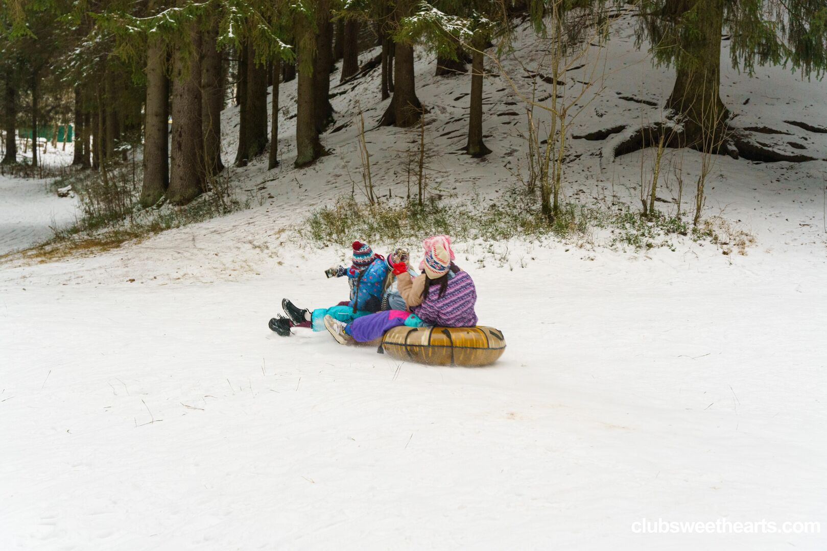 Snow bunnies 4