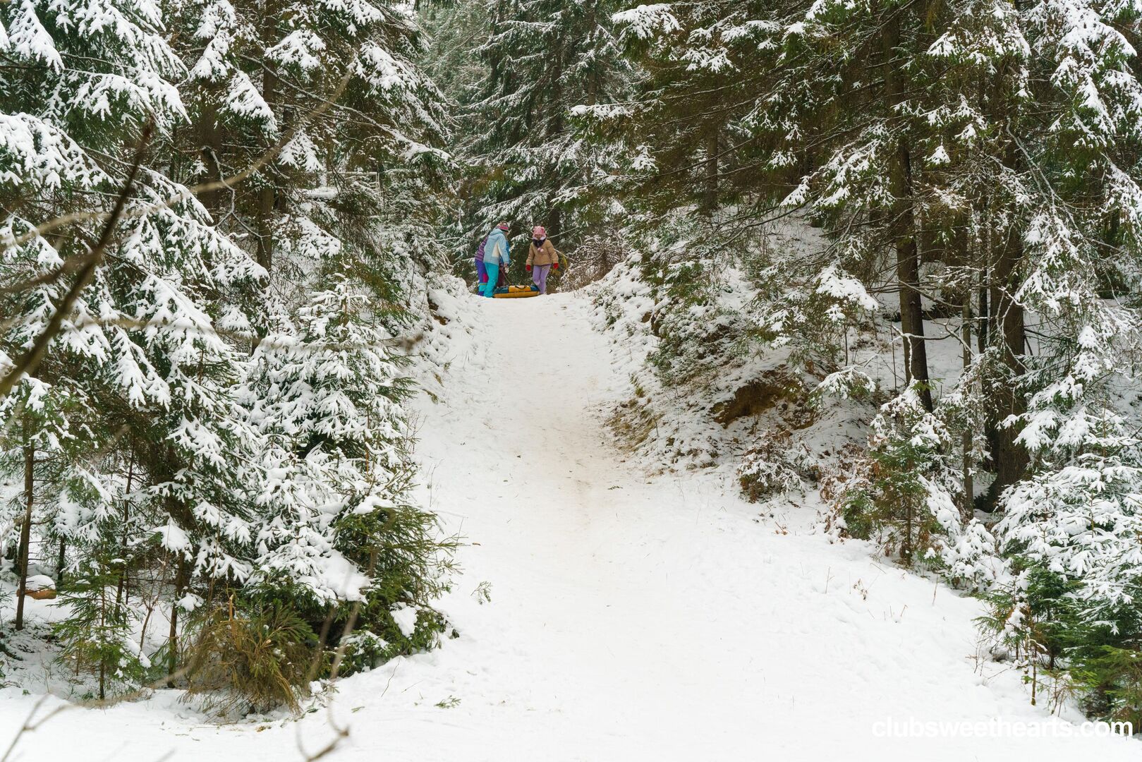 Snow bunnies 4