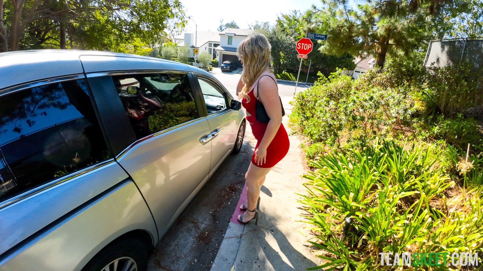 Rideshare After Party