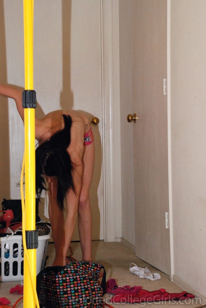 Ashley 010023