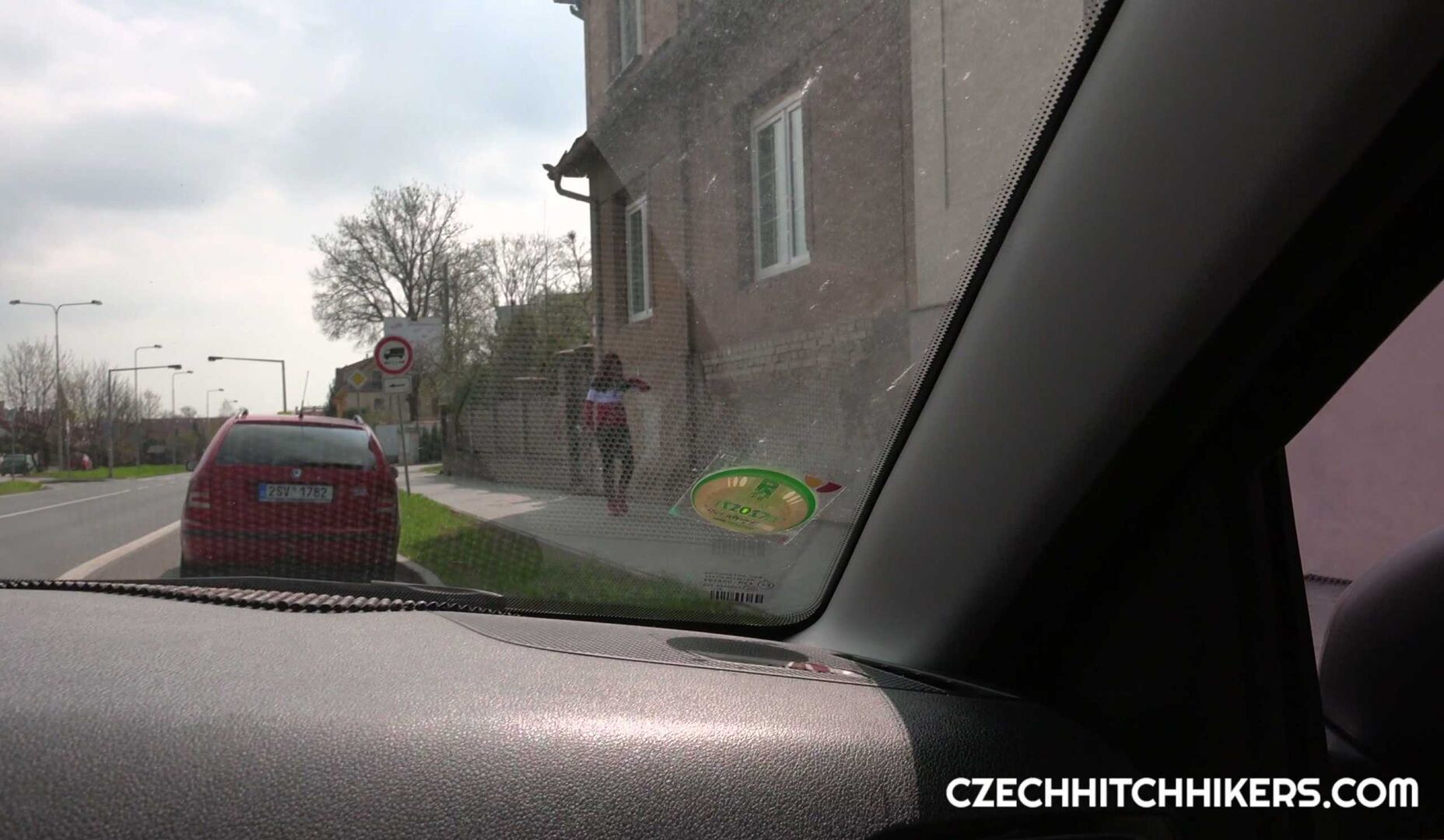 Horny redhead hitchhiker