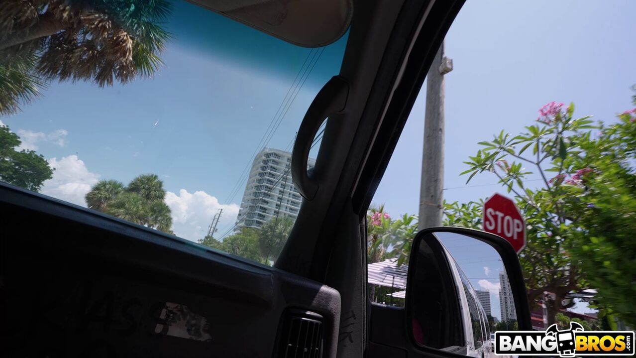 Monster Bus