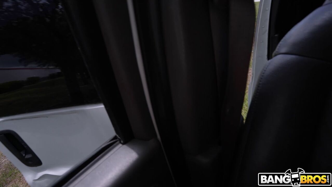 Monster Bus
