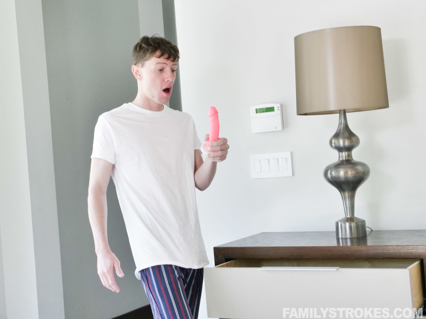 Stepbros Revenge