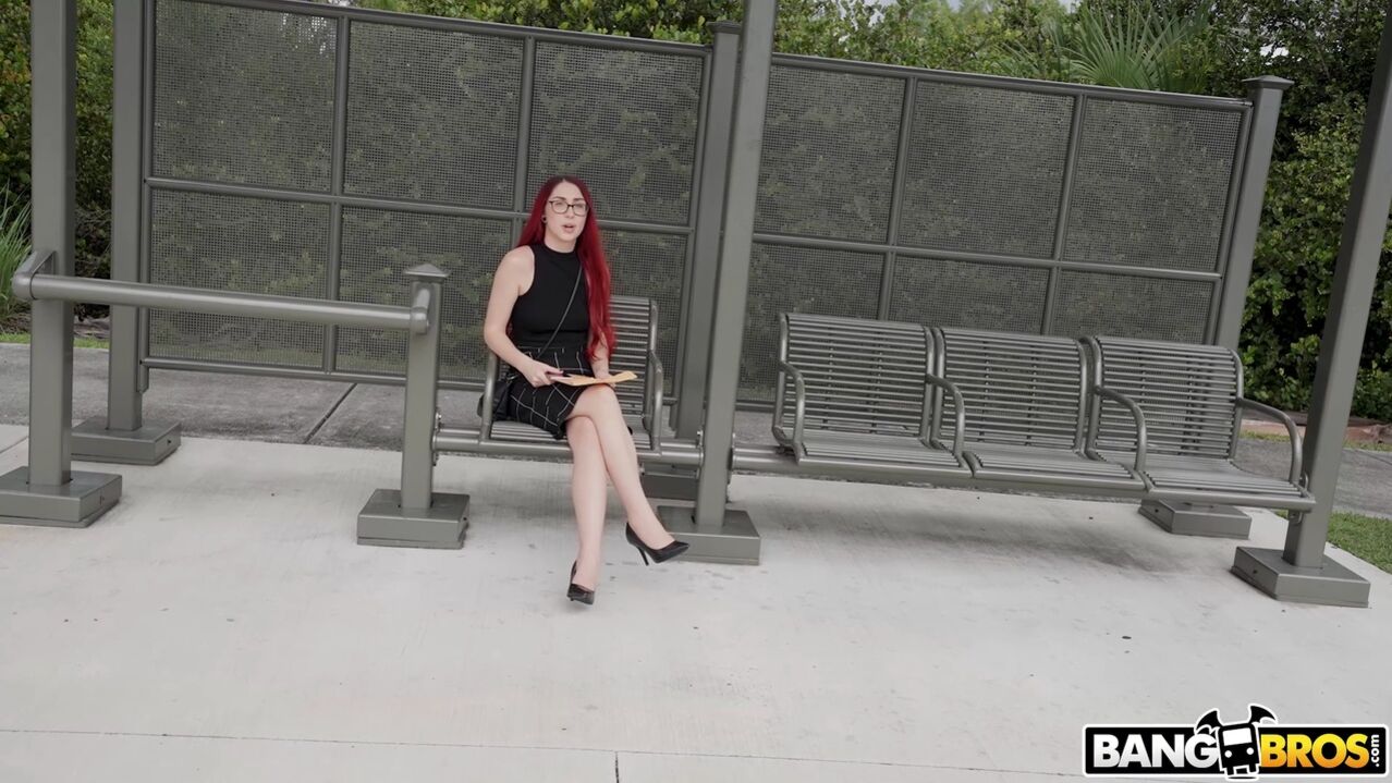 Teacher Tames a Black Mamba