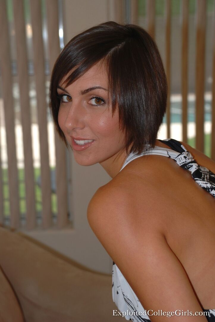 Vanessa 3146