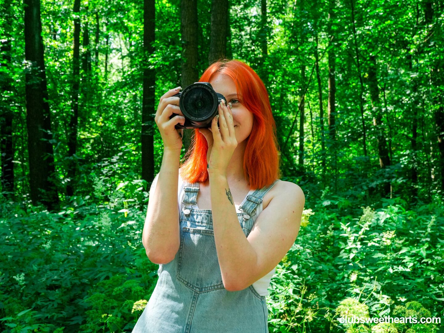 World Photography Day