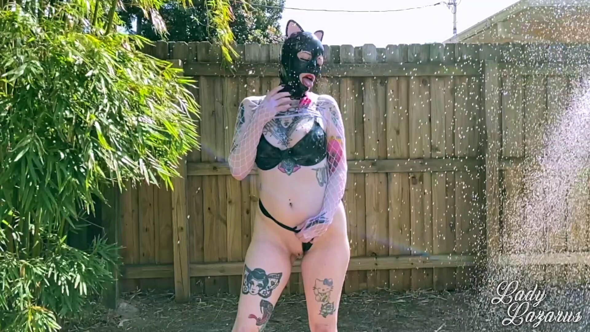 Kitty Creams