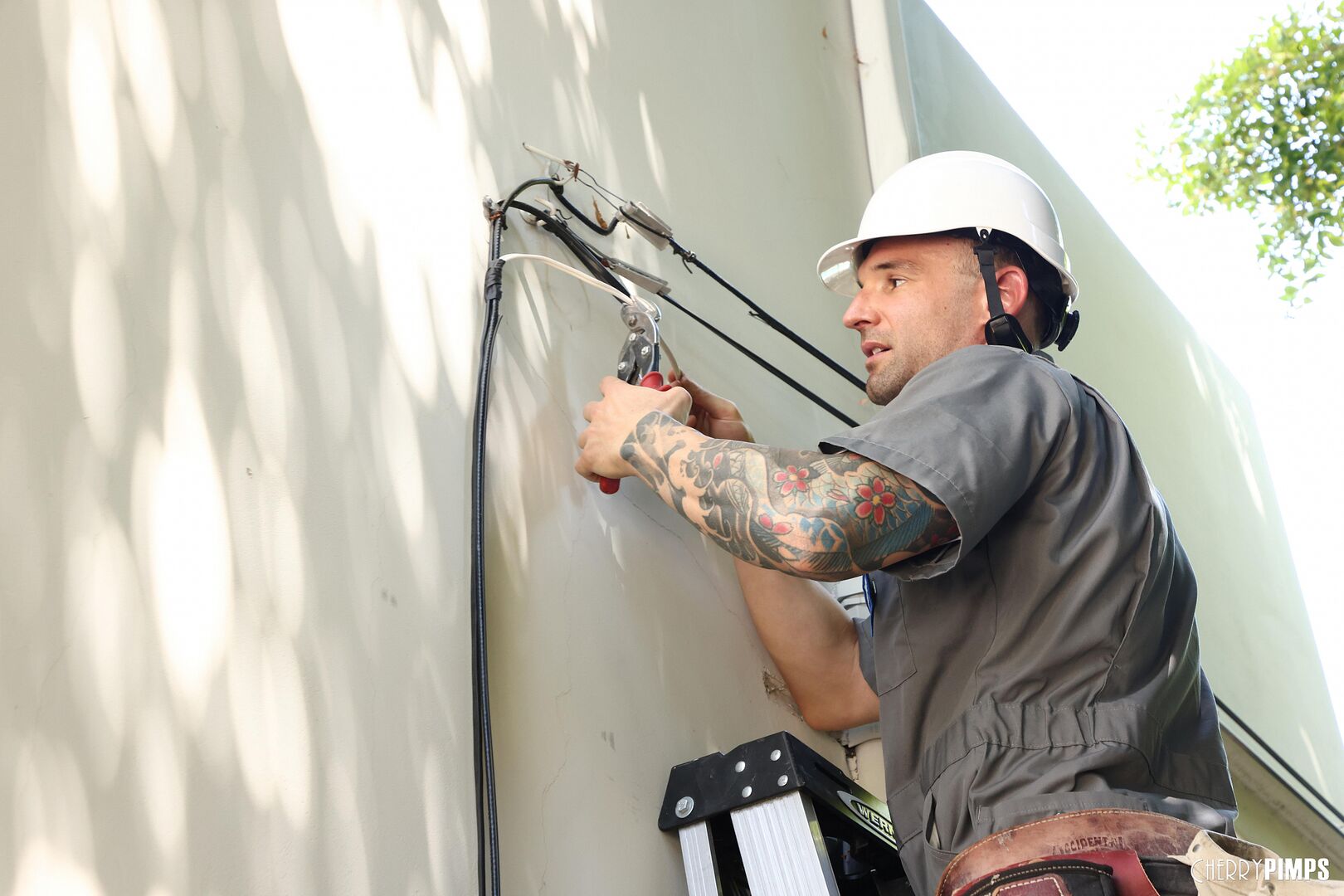 Laney Would Do Anything for Free Cable