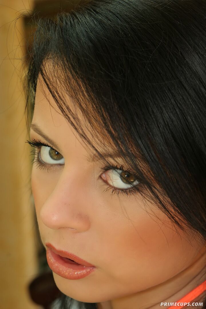 Veronica 28166