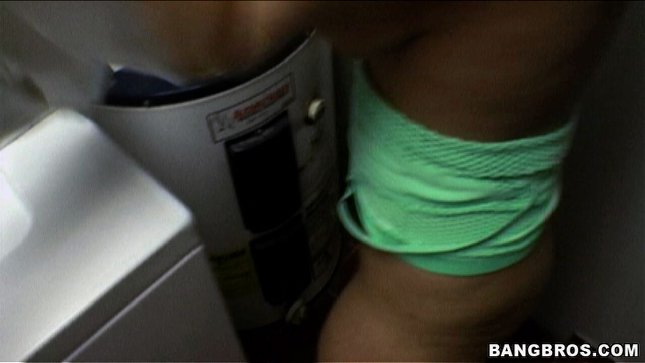 The Laundry Lady