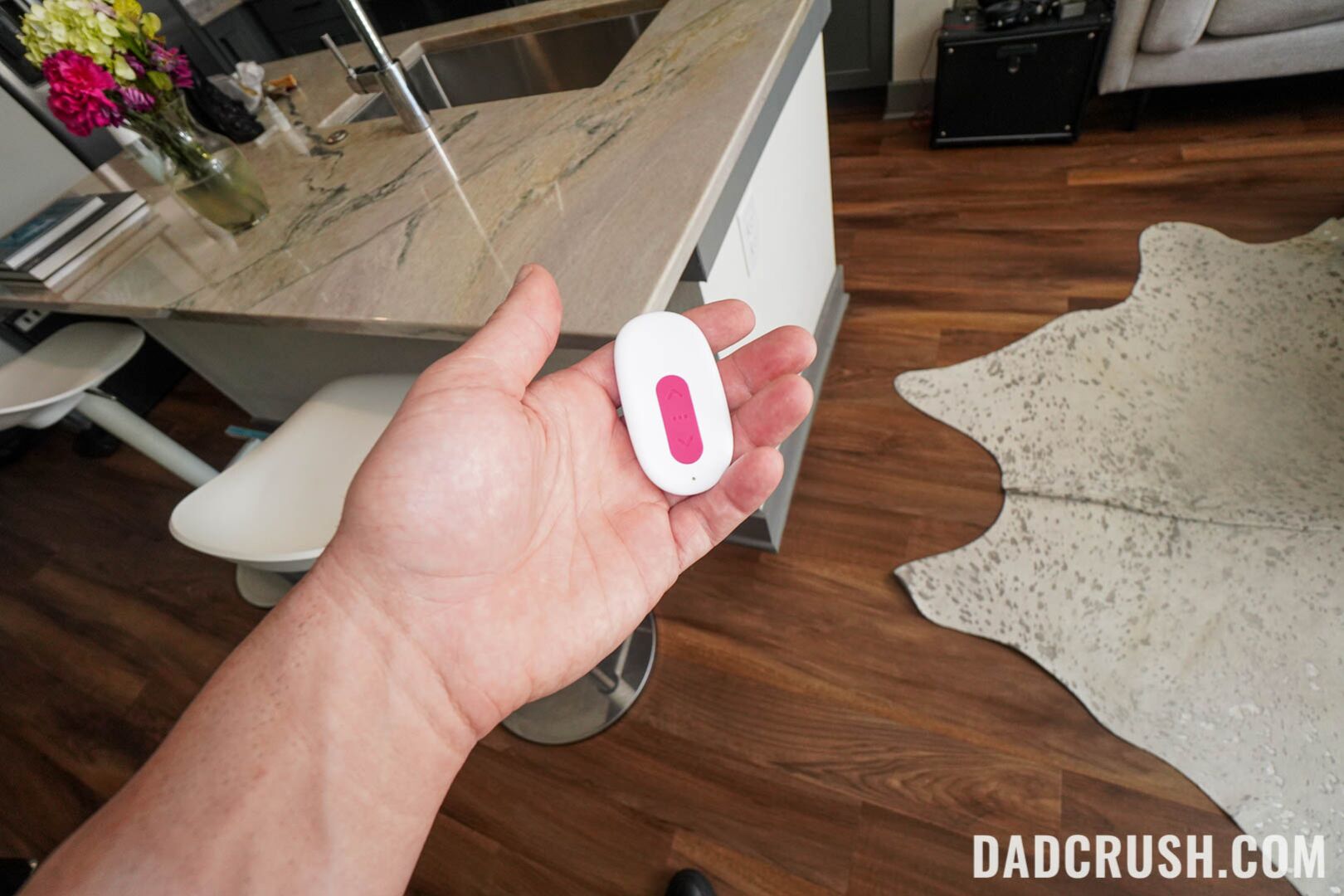 What Does This Button Do?