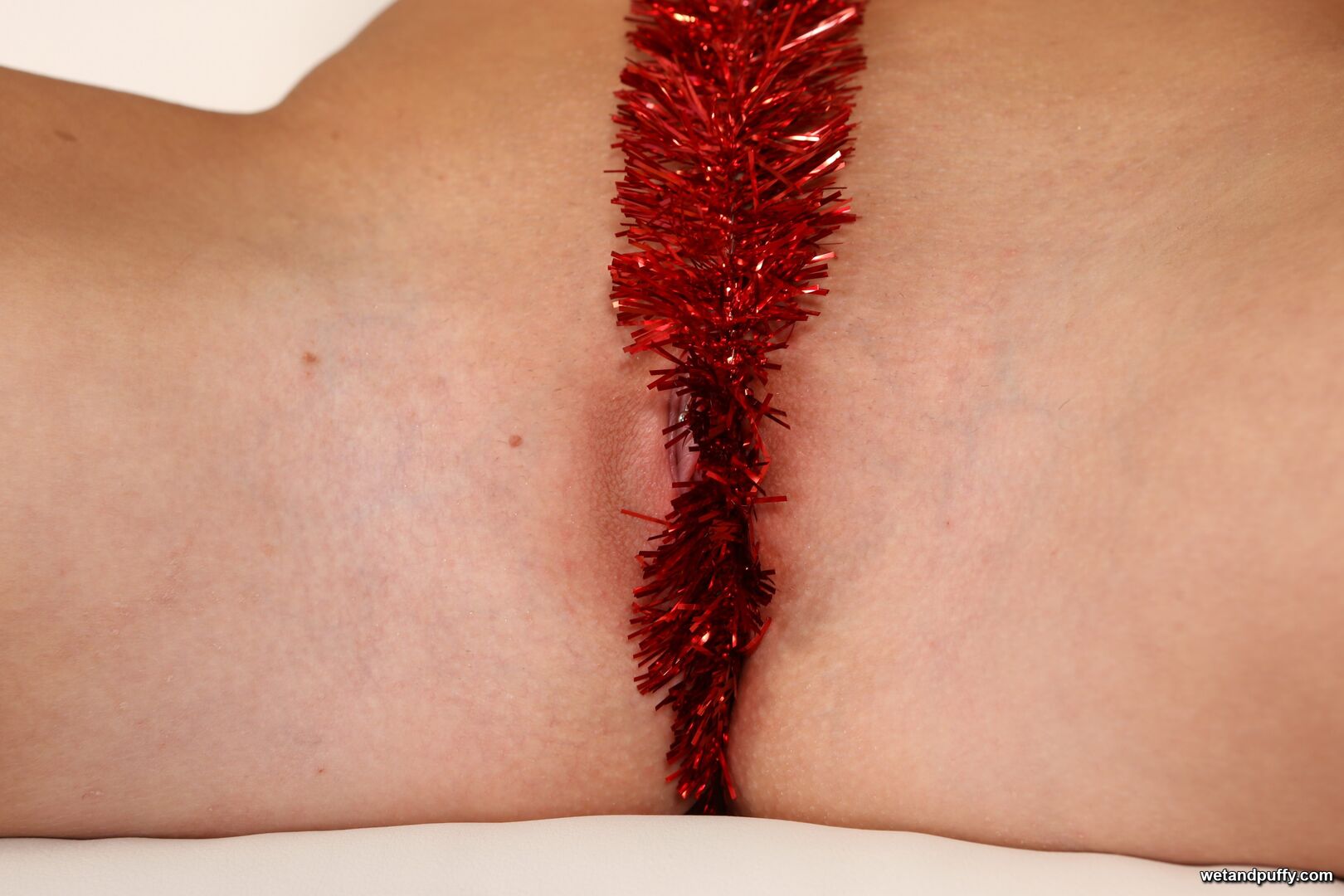 LOVITA FATE — UNDER YOUR TREE