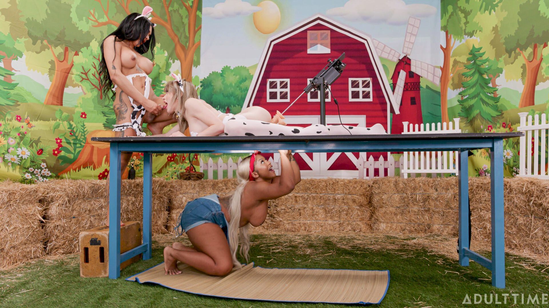 Milk Maid 2011