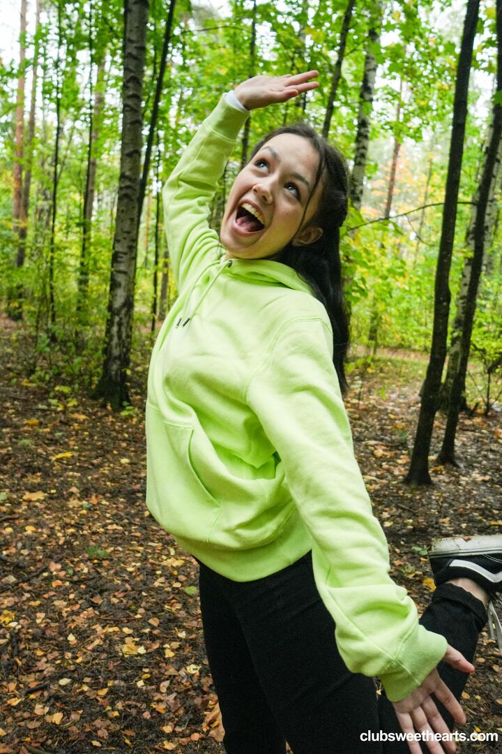 Morning wood in the woods