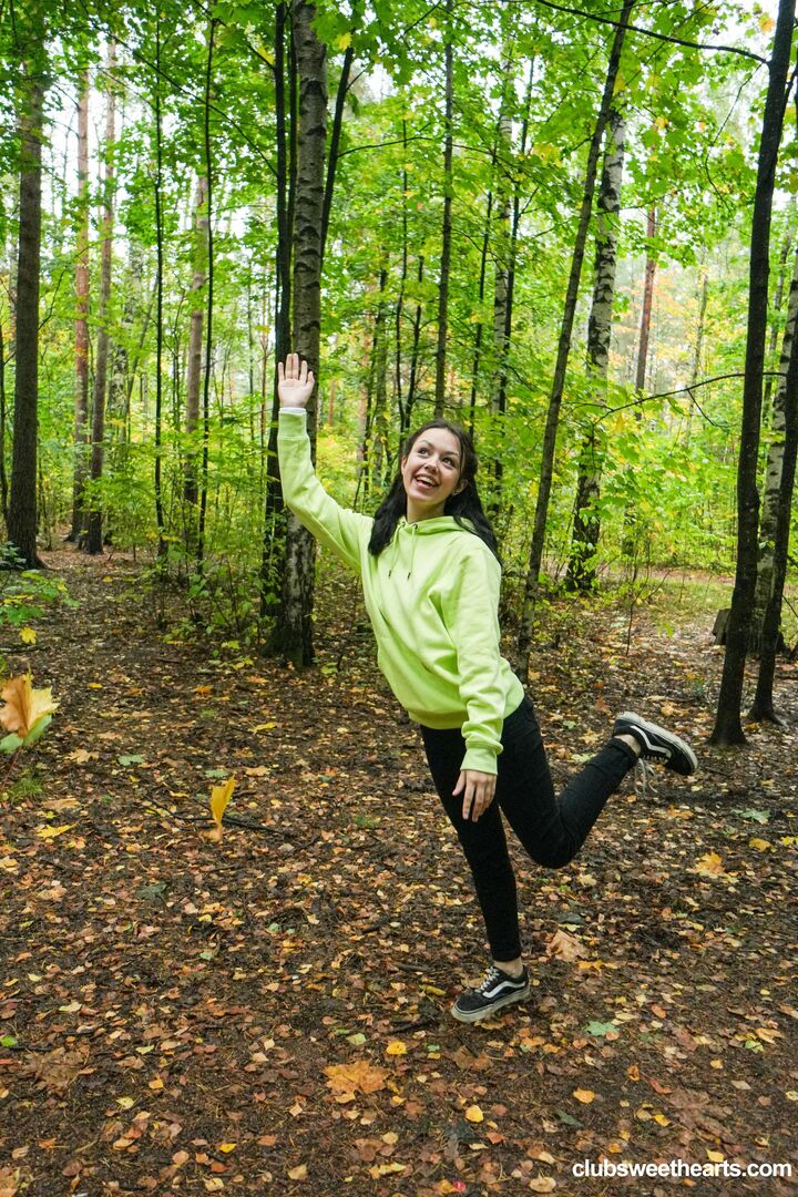 Morning wood in the woods