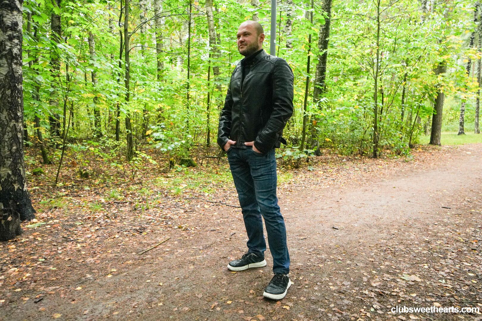 Morning wood in the woods