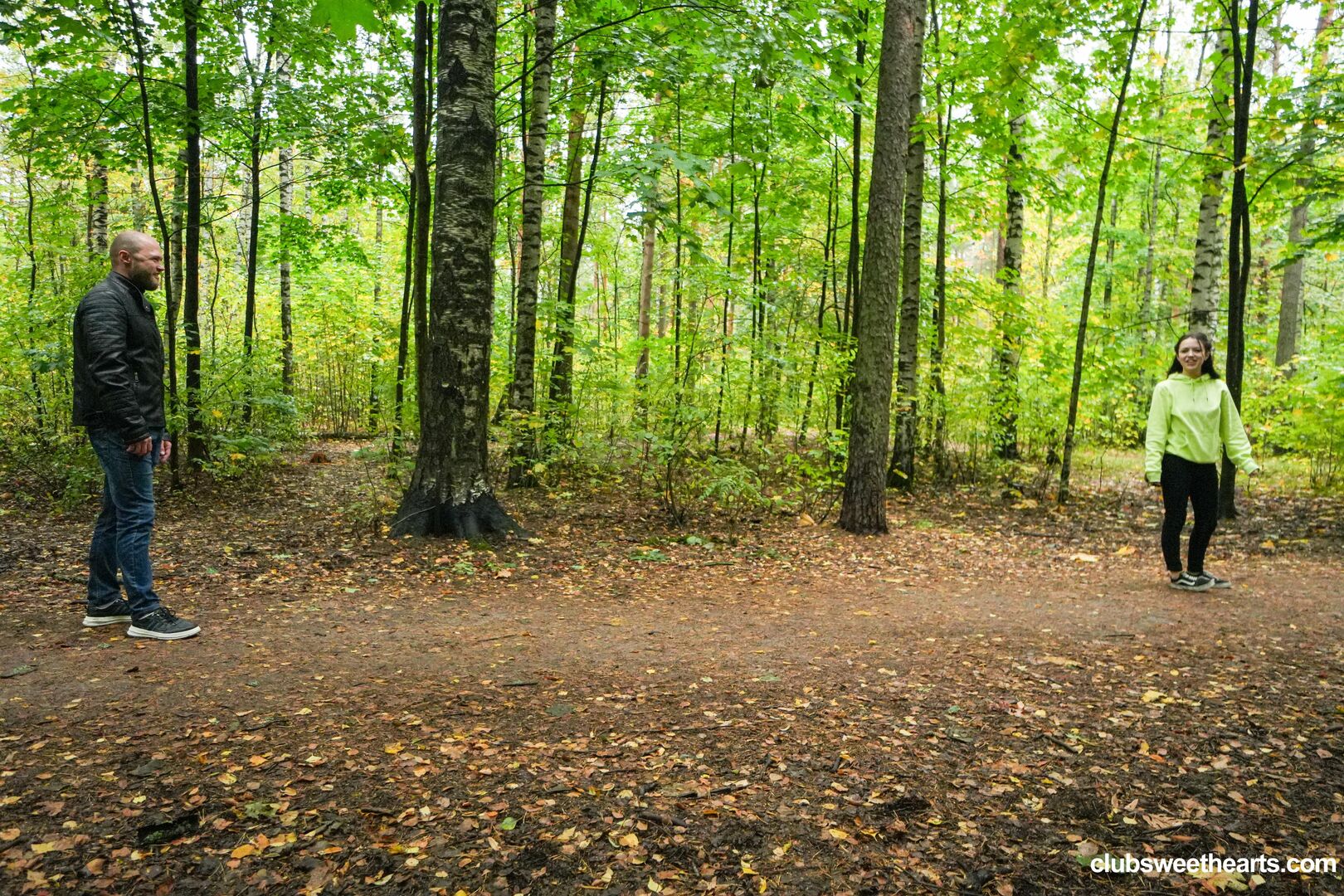 Morning wood in the woods