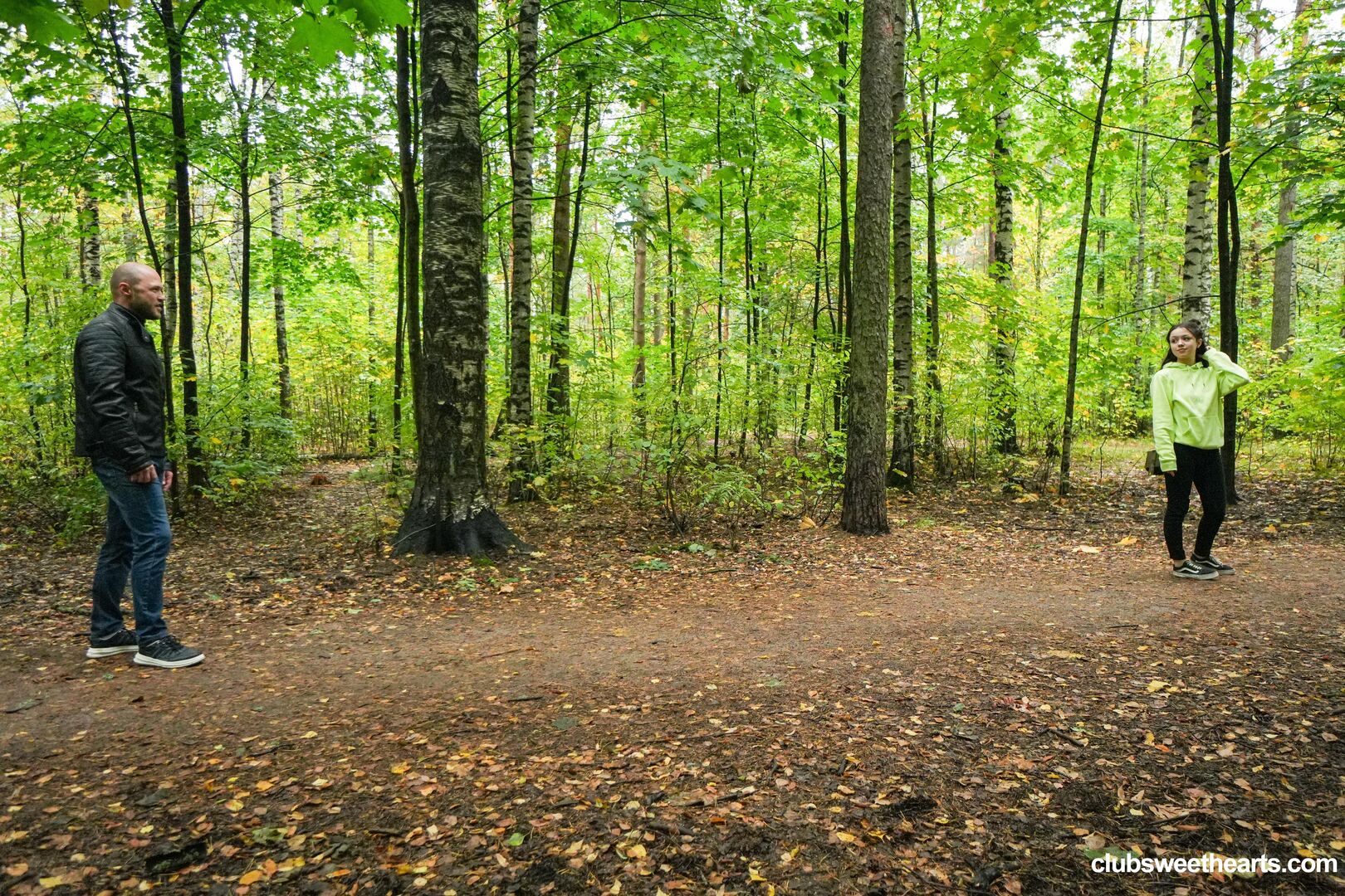 Morning wood in the woods