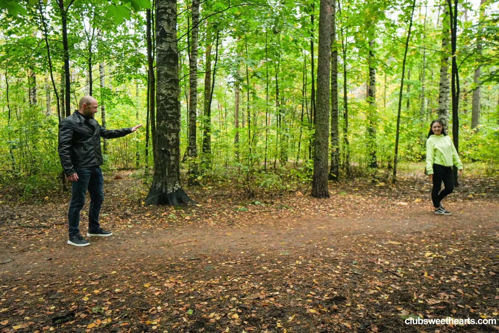 Morning wood in the woods