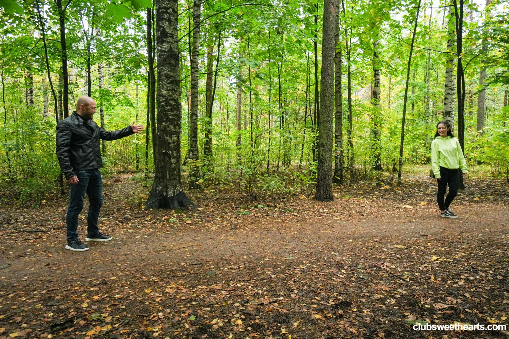 Morning wood in the woods