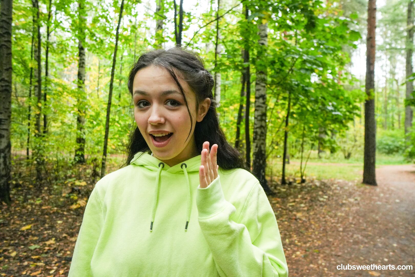 Morning wood in the woods