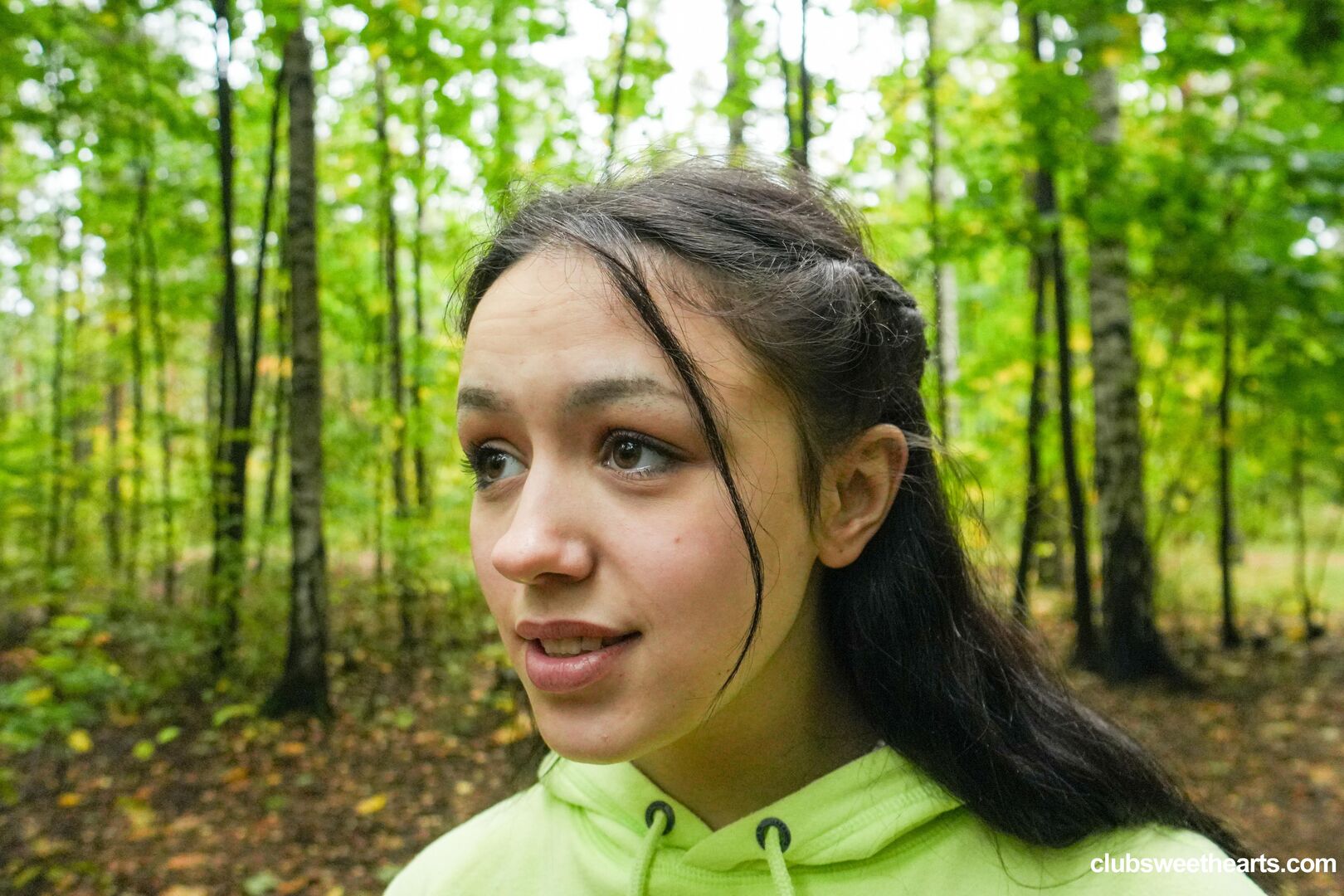 Morning wood in the woods