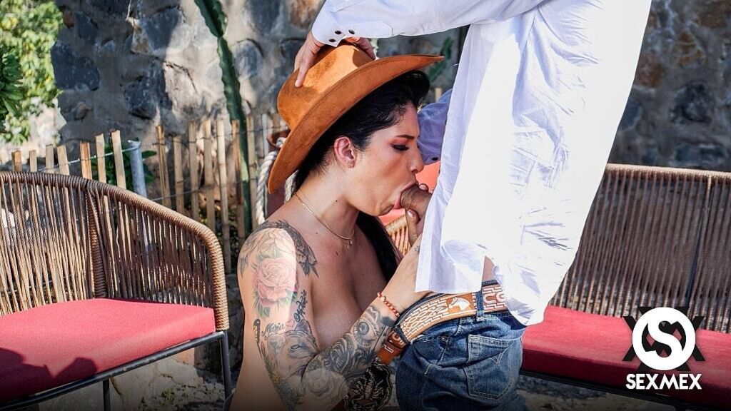 THE COWGIRL'S REVENGE . SALOMÉ GIL