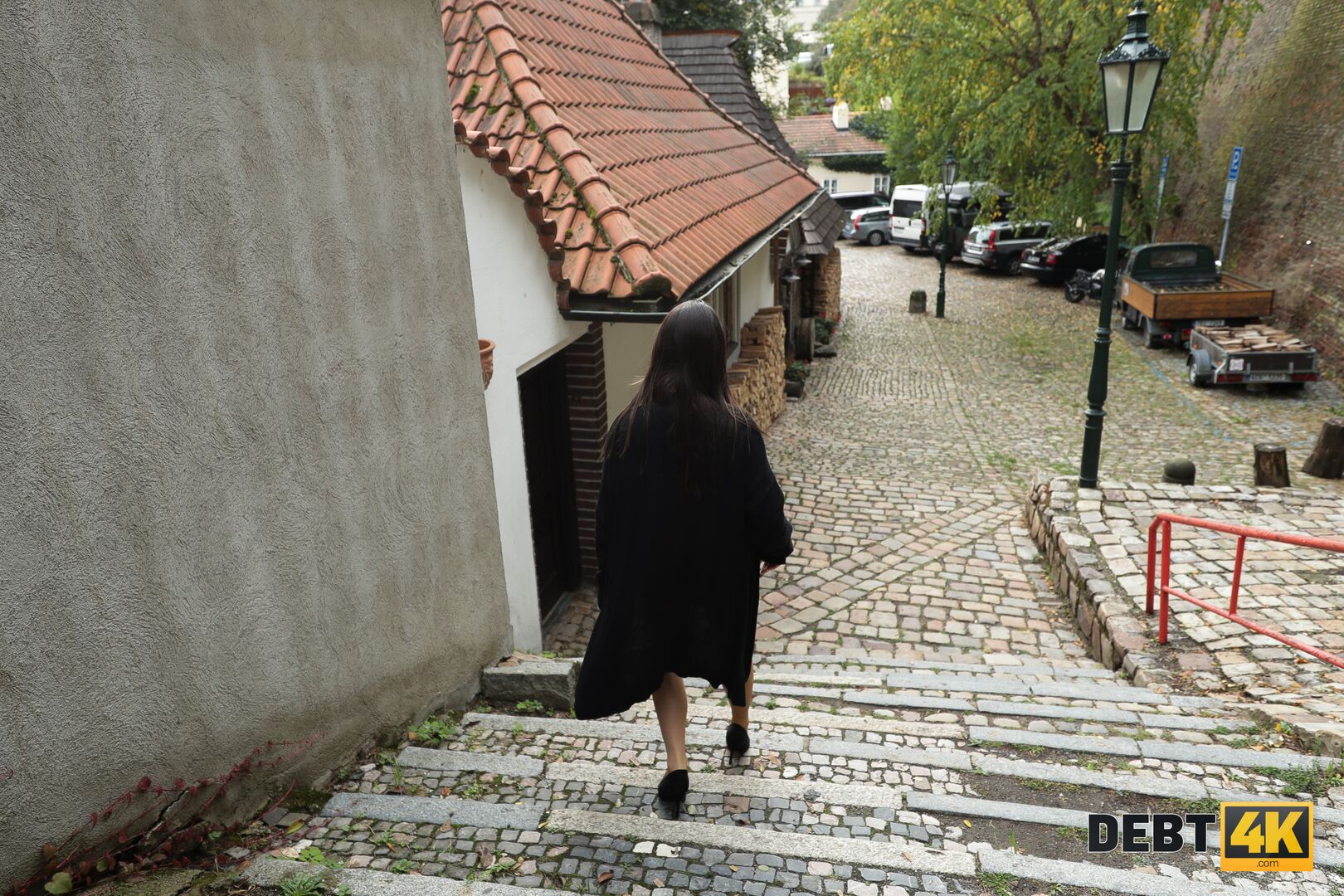 Following White Bunny