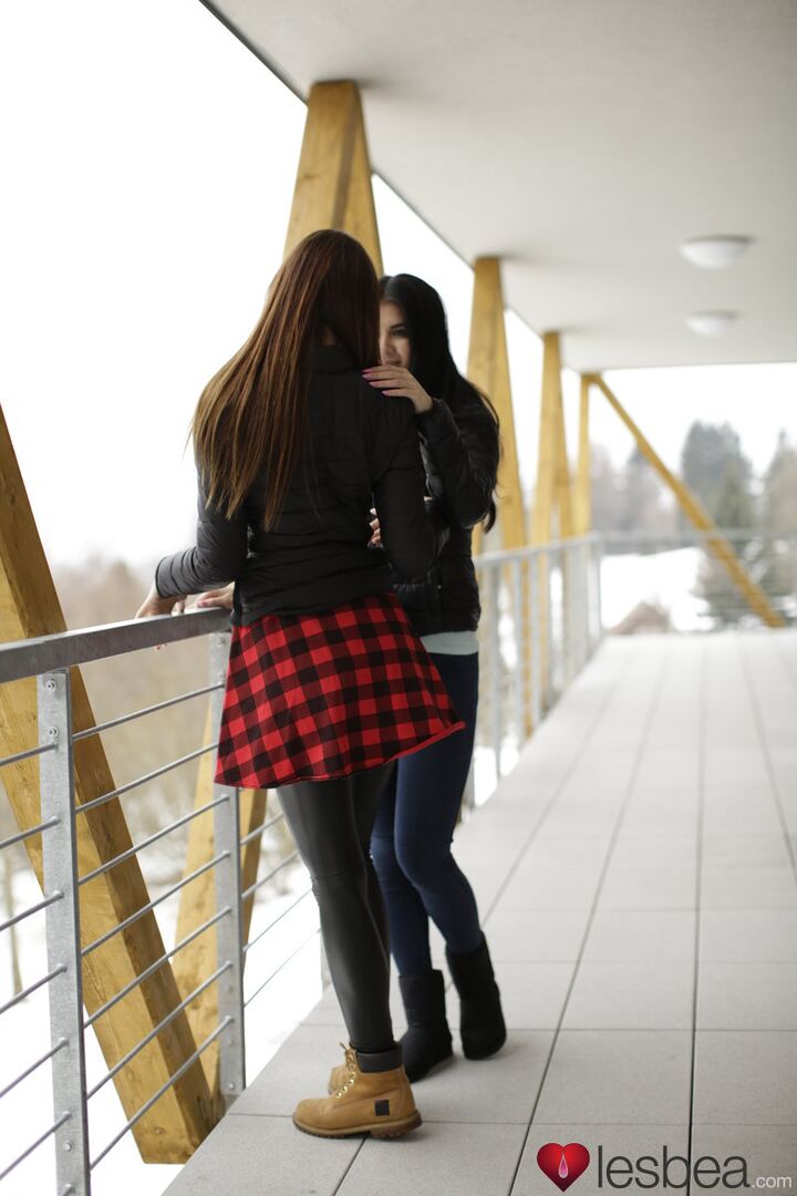 Sexy lesbian trib in winter cabin