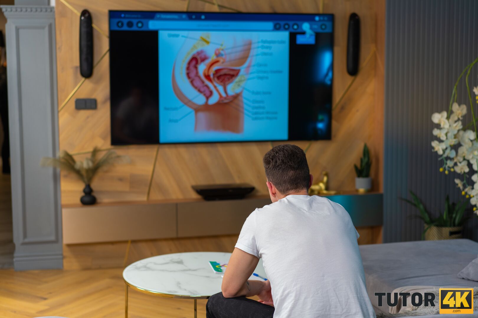Deep learning of reproductive system