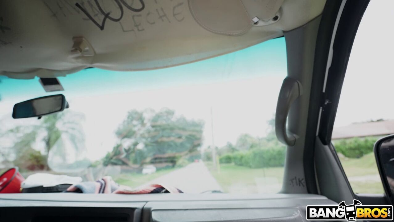 A Cute Bunny In The Bus