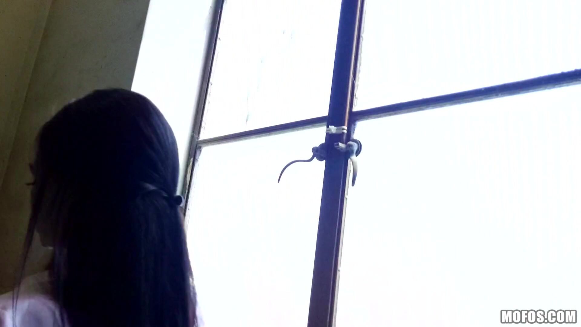 Fucking Raven on the Roof