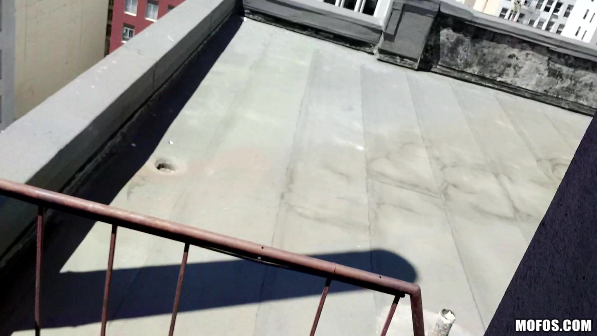 Fucking Raven on the Roof
