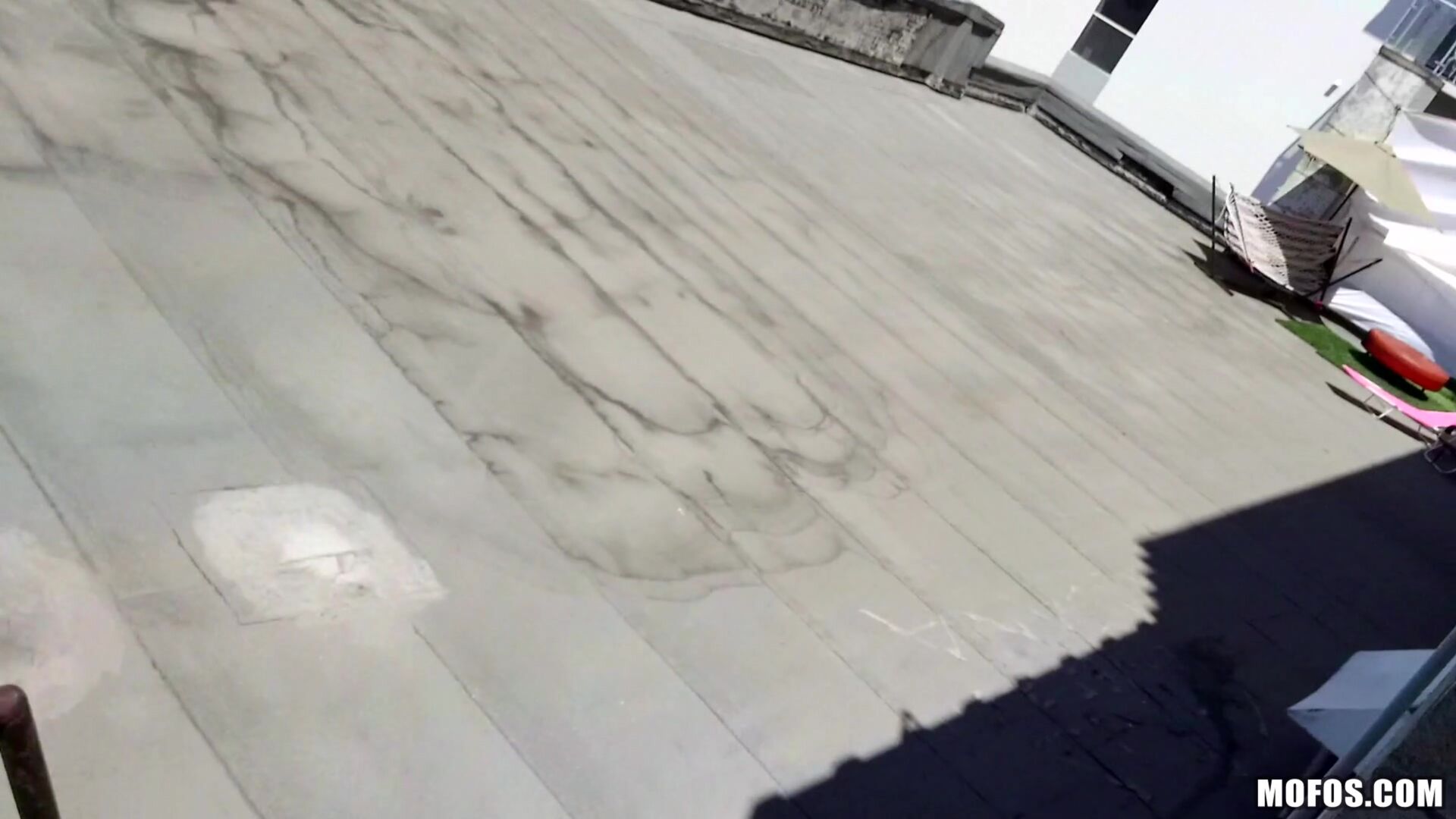 Fucking Raven on the Roof