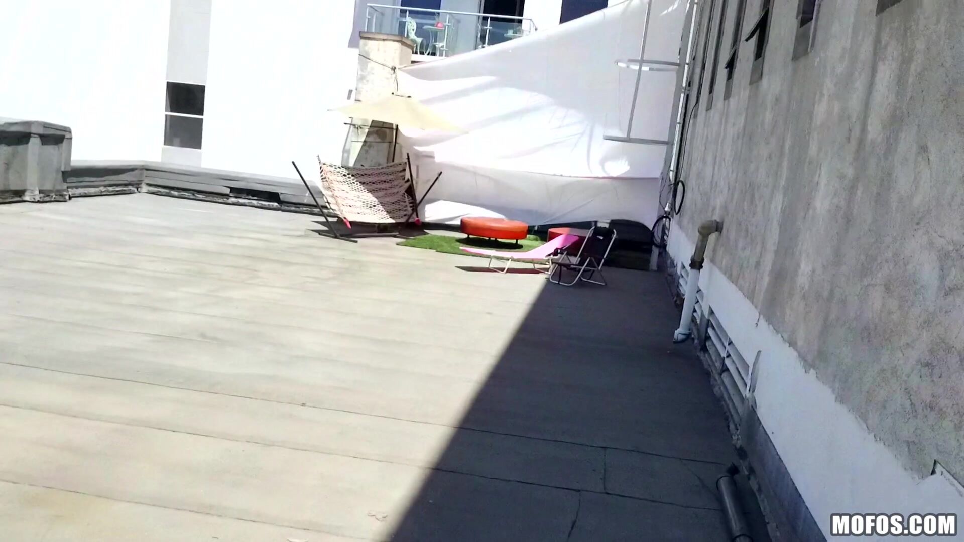 Fucking Raven on the Roof