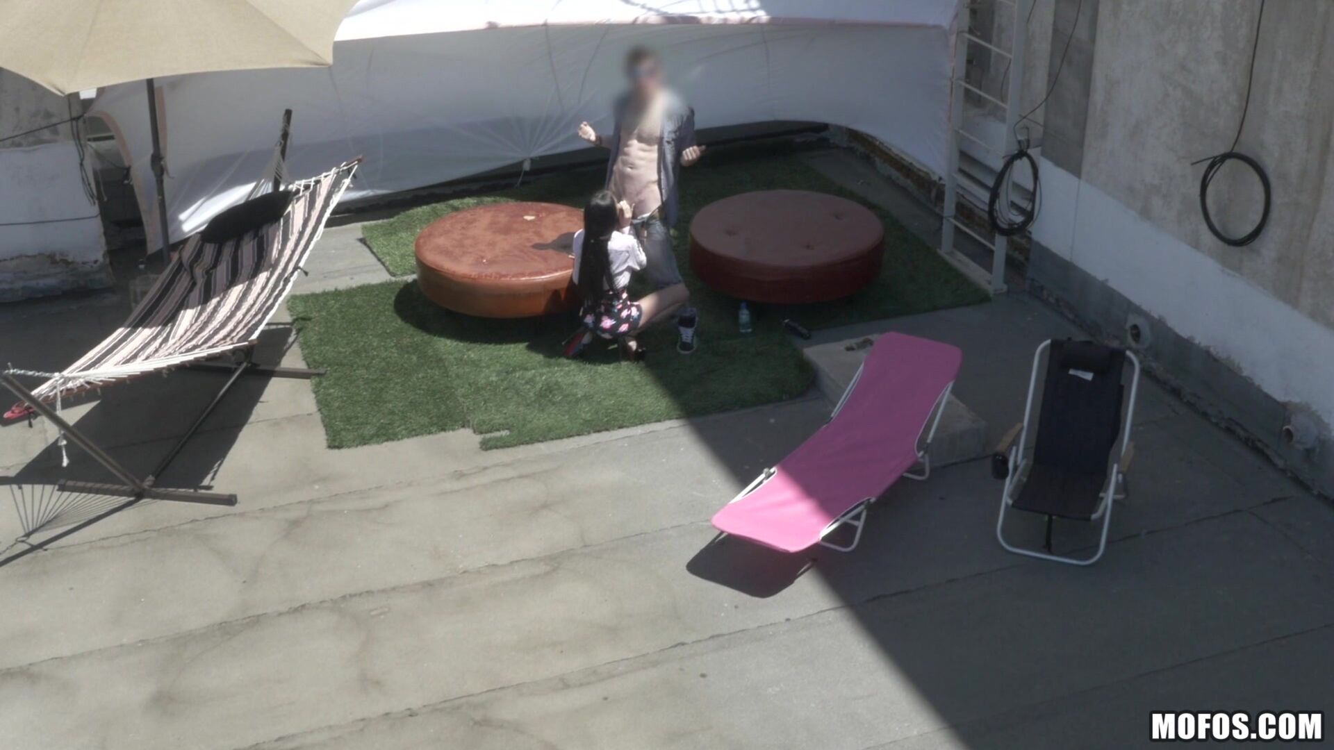 Fucking Raven on the Roof