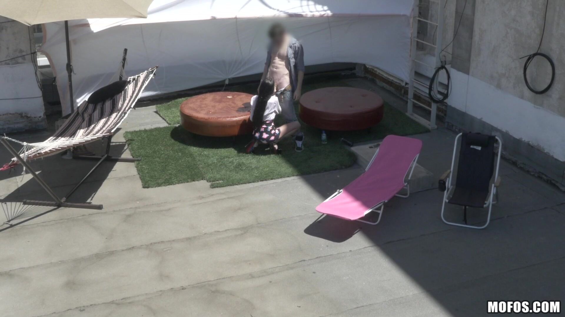 Fucking Raven on the Roof