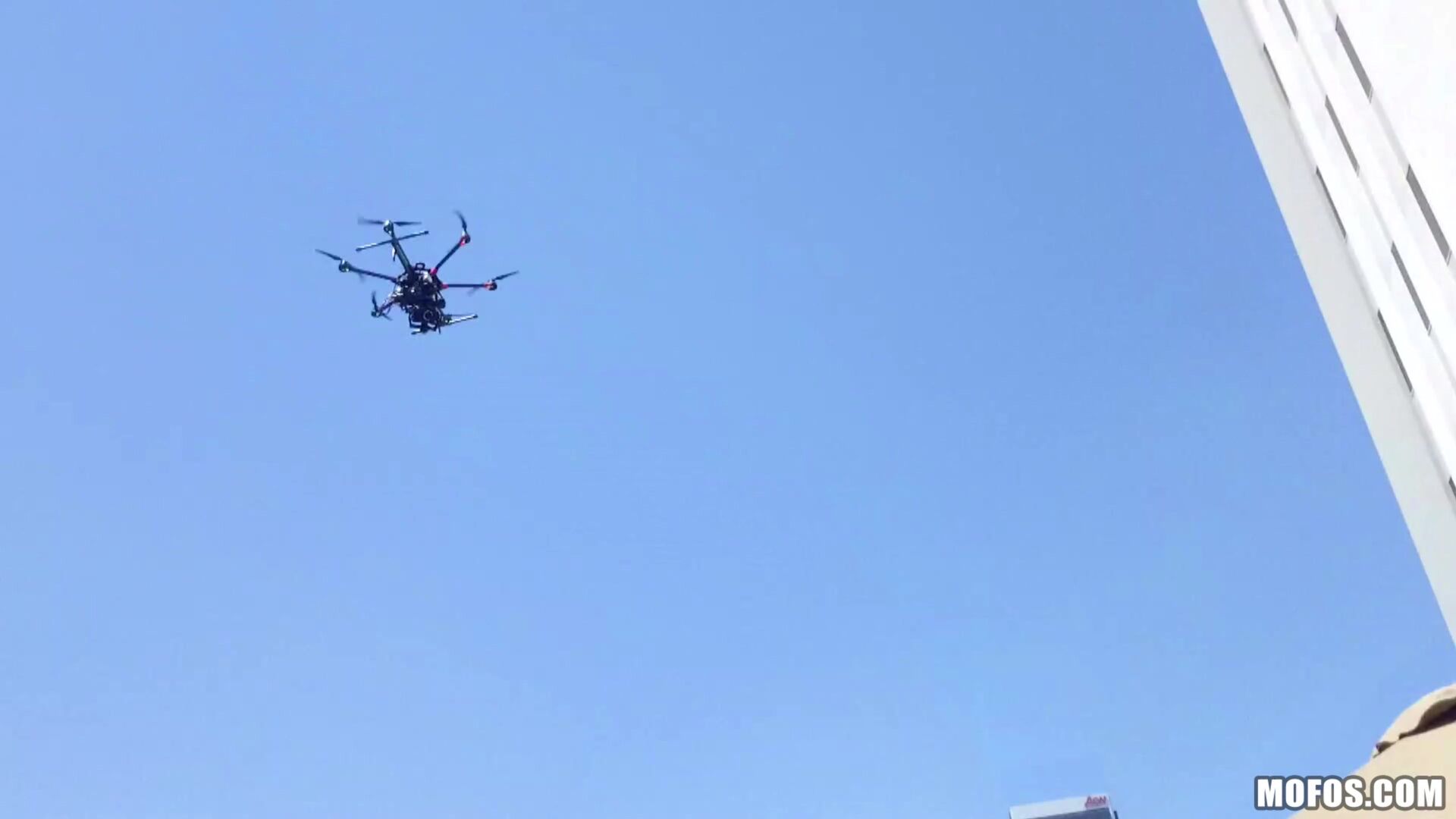 Fucking Raven on the Roof
